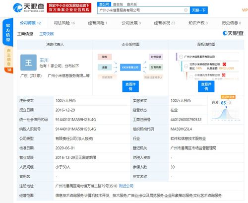 洪鋒卸任廣州小米信息服務法人及經理，計算機信息技術咨詢服務領域引關注